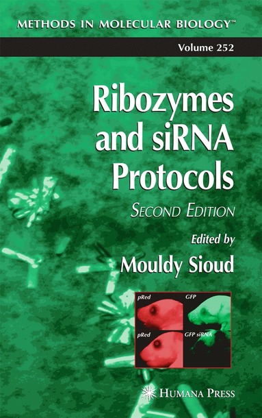 bokomslag Ribozymes and siRNA protocols