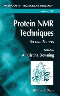bokomslag Protein NMR Techniques