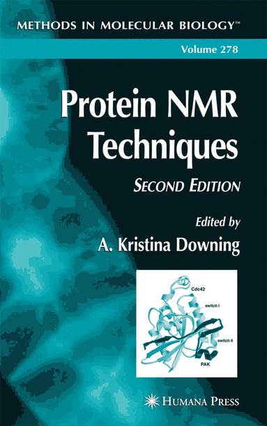 bokomslag Protein NMR Techniques