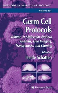 bokomslag Germ Cell Protocols