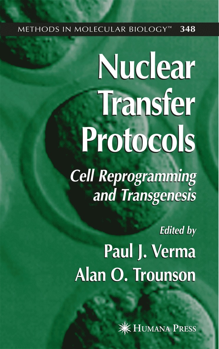 Paul J. Verma, Paul J Verma - Nuclear Transfer Protocols, Häftad