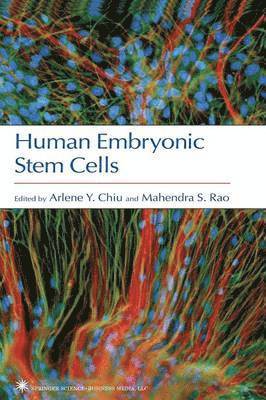 Human Embryonic Stem Cells 1