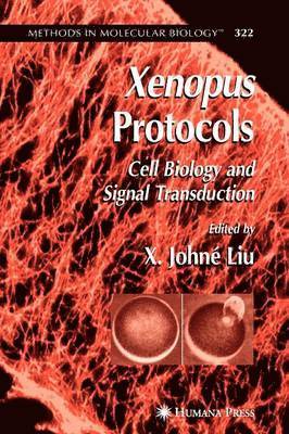 Xenopus Protocols