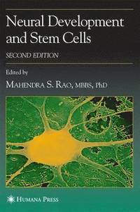 bokomslag Neural Development and Stem Cells