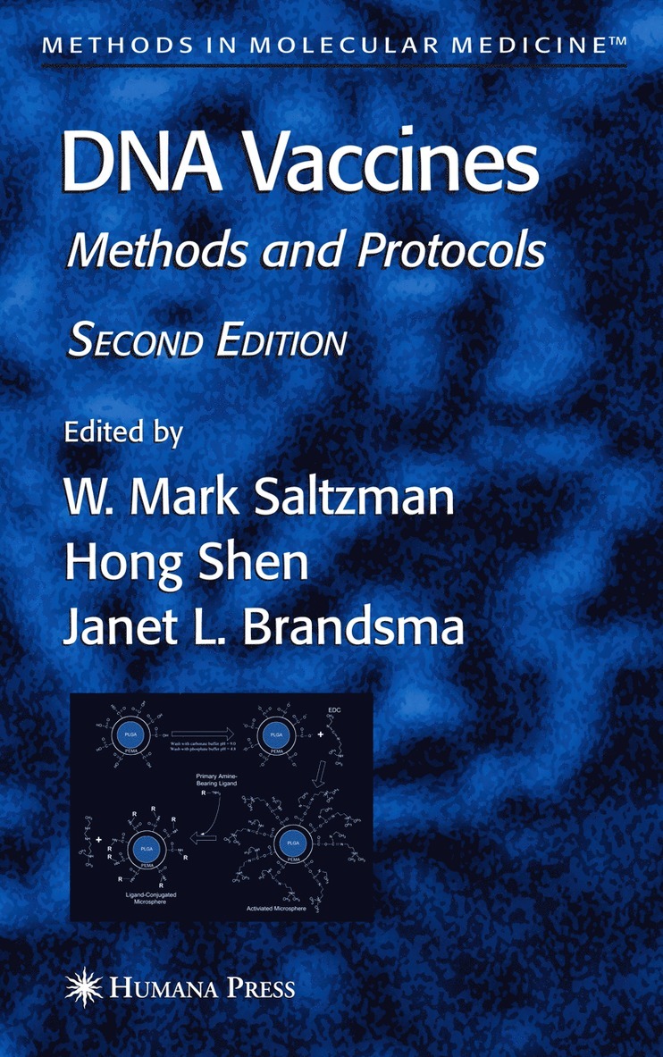 Mark W. Saltzman, Hong Shen, Janet L. Brandsma, Mark W Saltzman, Janet L Brandsma - DNA Vaccines, Häftad