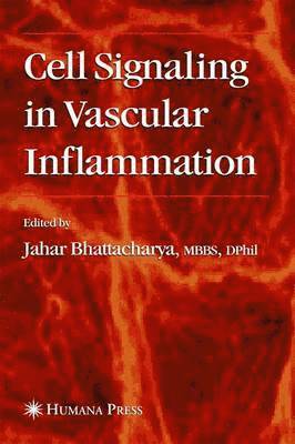 bokomslag Cell Signaling in Vascular Inflammation