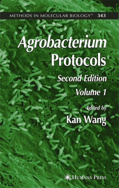 bokomslag Agrobacterium Protocols