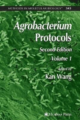 Kan Wang - Agrobacterium Protocols, Häftad