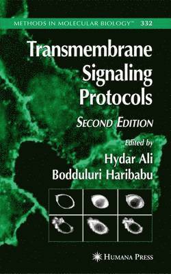 bokomslag Transmembrane Signaling Protocols