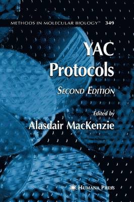 YAC Protocols 1