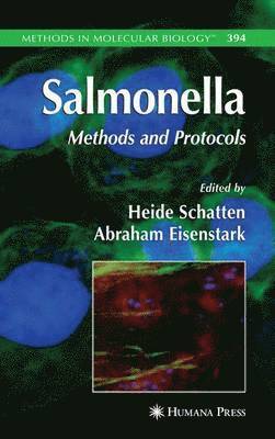 Salmonella 1