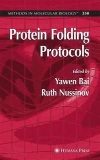 bokomslag Protein Folding Protocols