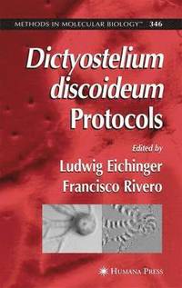 bokomslag Dictyostelium discoideum Protocols