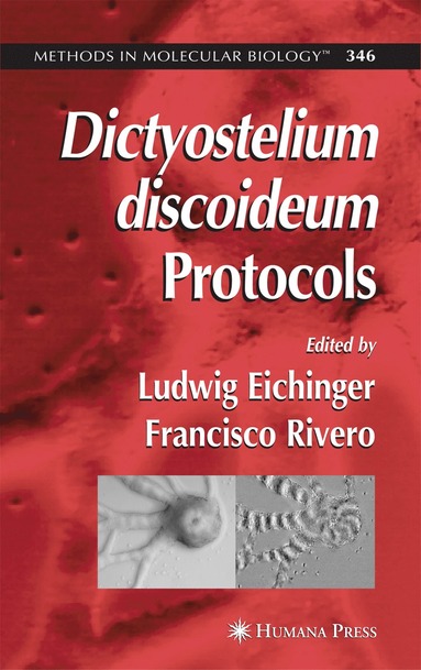 bokomslag Dictyostelium discoideum Protocols