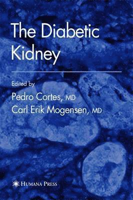 bokomslag Diabetic Kidney