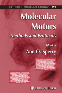 bokomslag Molecular Motors