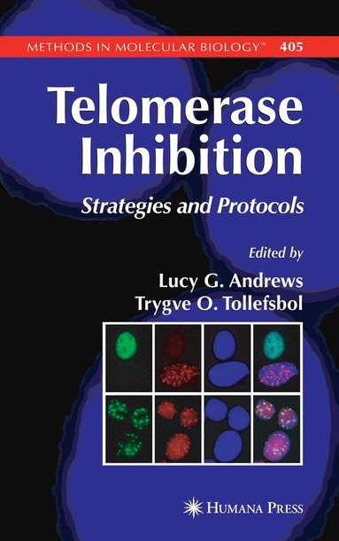 bokomslag Telomerase Inhibition