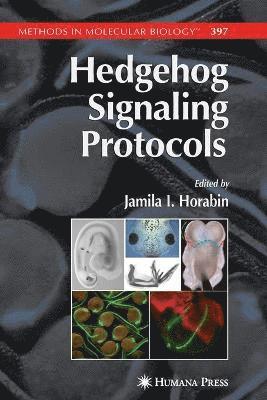 Hedgehog Signaling Protocols 1