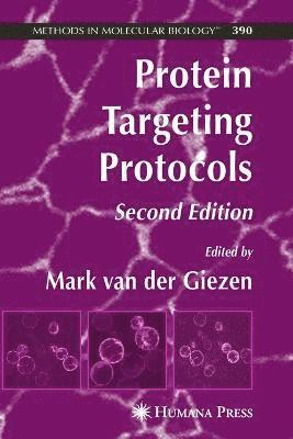 bokomslag Protein Targeting Protocols