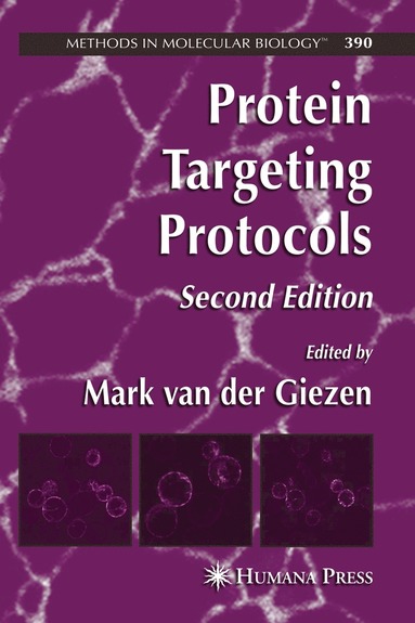 bokomslag Protein Targeting Protocols