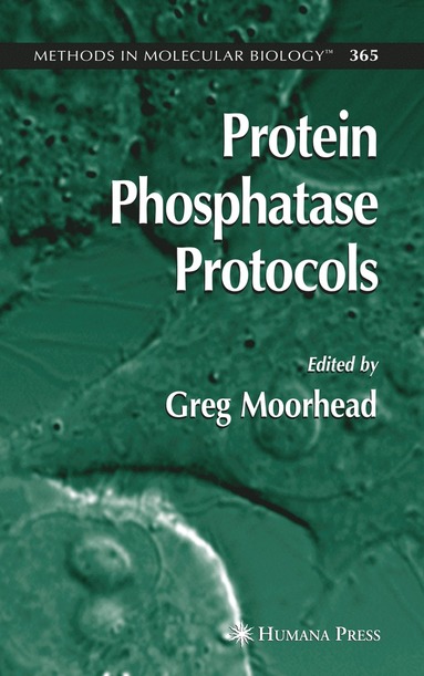 bokomslag Protein Phosphatase Protocols