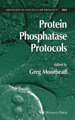 Protein Phosphatase Protocols 1