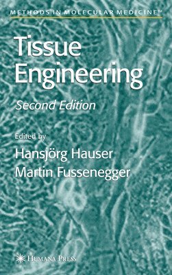 Tissue Engineering 1