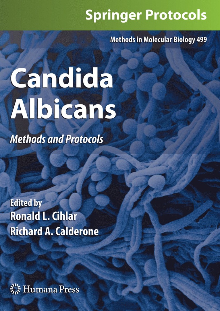 Candida Albicans 1