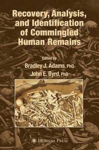 bokomslag Recovery, Analysis, and Identification of Commingled Human Remains