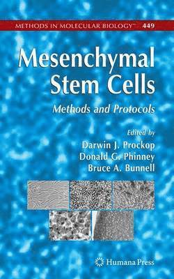 Darwin J. Prockop, Donald G. Phinney, Bruce A. Bunnell, Darwin J Prockop, Donald G Phinney, Bruce A Bunnell - Mesenchymal Stem Cells, Häftad