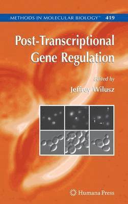 bokomslag Post-Transcriptional Gene Regulation