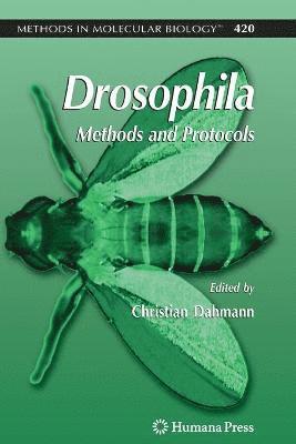 Drosophila 1