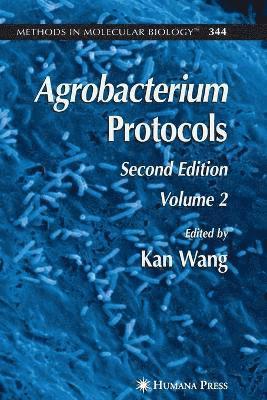 Agrobacterium Protocols 1