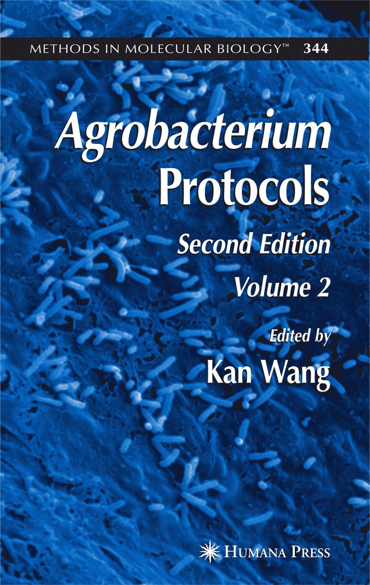 Kan Wang - Agrobacterium Protocols, Häftad