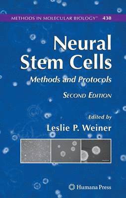 Leslie P. Weiner - Neural Stem Cells, Häftad