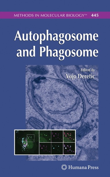 bokomslag Autophagosome and Phagosome