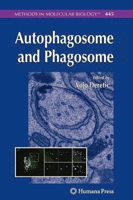 Vojo Deretic - Autophagosome and Phagosome, Häftad