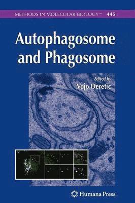 Autophagosome and Phagosome 1