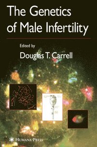bokomslag The Genetics of Male Infertility