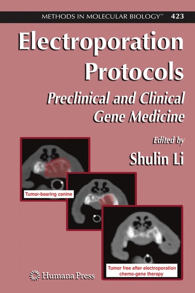 bokomslag Electroporation Protocols