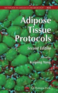bokomslag Adipose Tissue Protocols