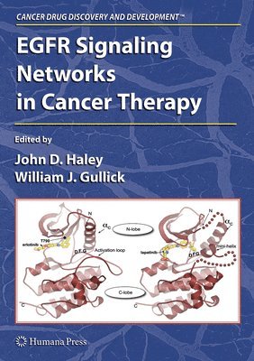 bokomslag EGFR Signaling Networks in Cancer Therapy