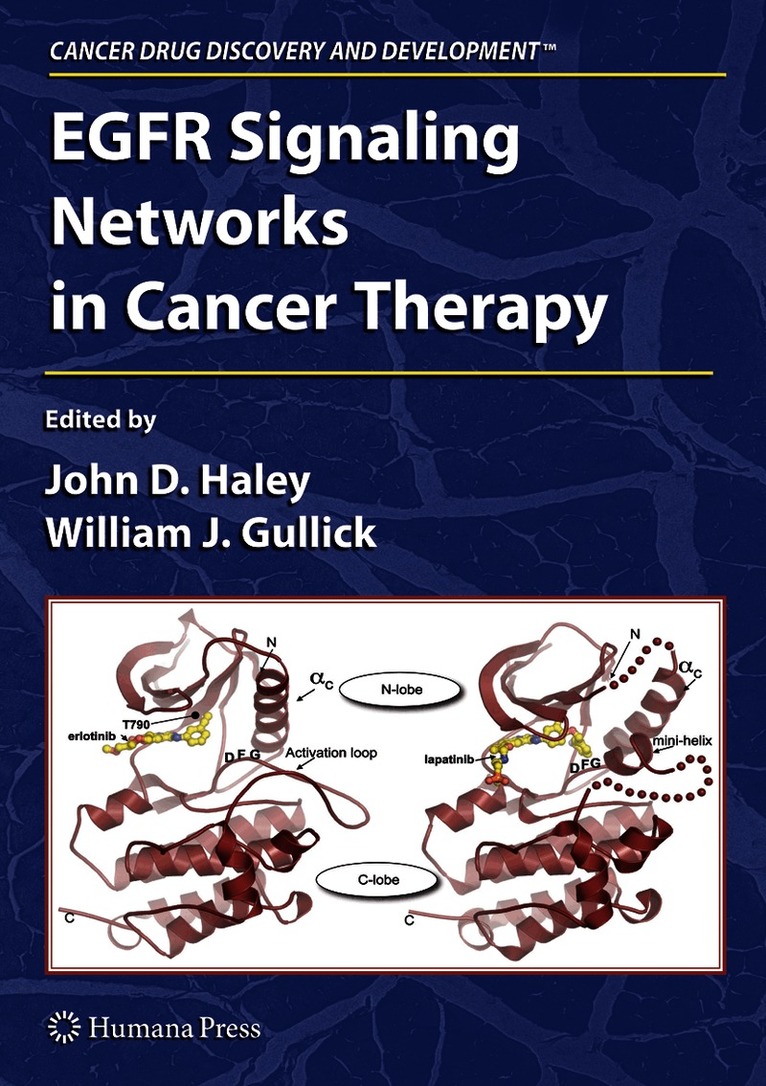 John D. Haley, William John Gullick - EGFR Signaling Networks in Cancer Therapy, Häftad