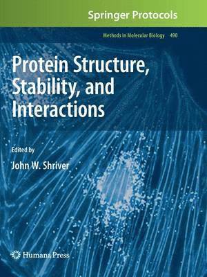 John W. Shriver, John W. Shriver - Protein Structure, Stability, and Interactions, Häftad