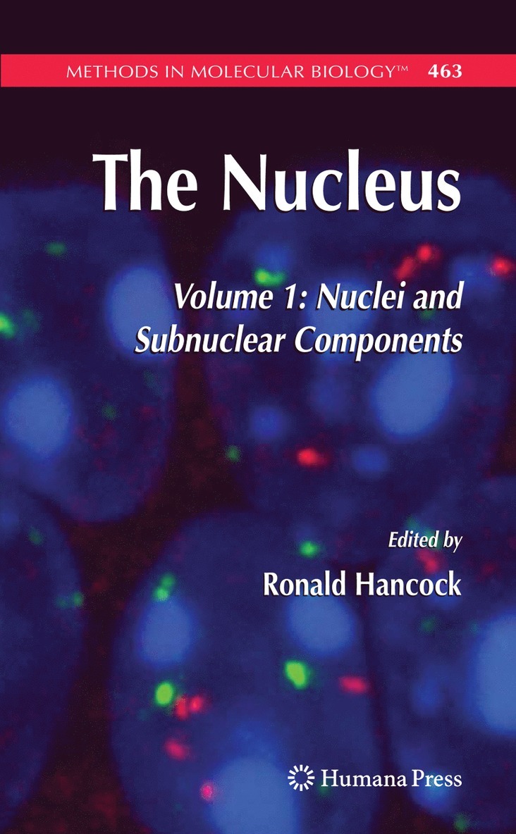 The Nucleus 1