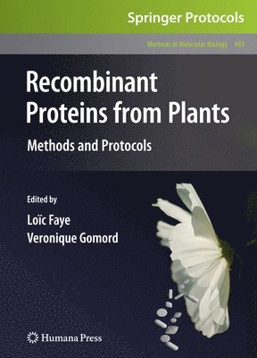 Recombinant Proteins From Plants 1