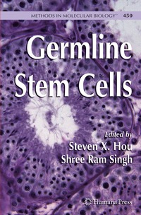 bokomslag Germline Stem Cells