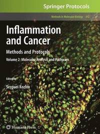 bokomslag Inflammation and Cancer