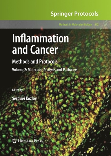 bokomslag Inflammation and Cancer