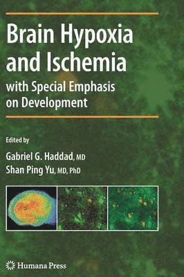 bokomslag Brain Hypoxia and Ischemia